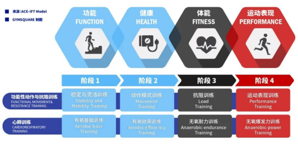 蓝狮娱乐登录:动作解锁,健身人的健身动力